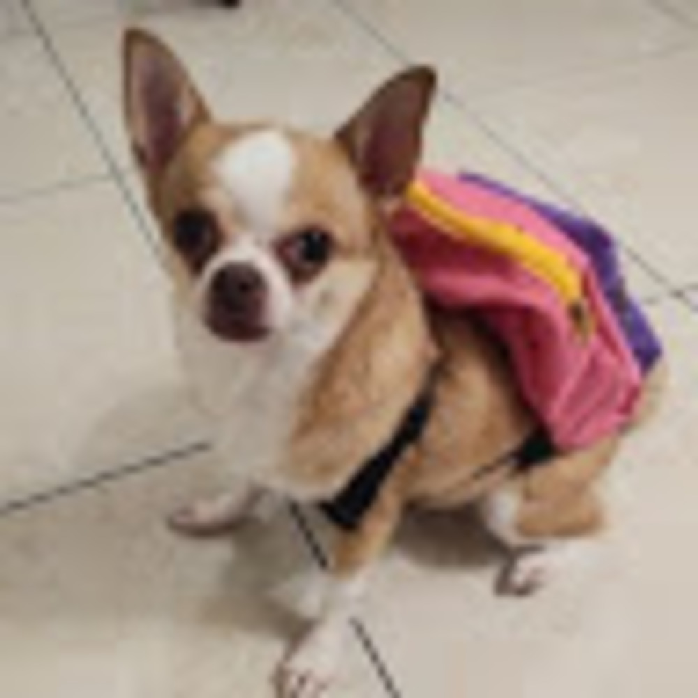 Meet your Posher, Msrave